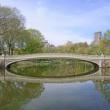 Tours, July 02, 2019, 07/02/2019, Heart of the Park Tour