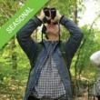 Birdwatchings, April 25, 2019, 04/25/2019, Birding Basics: The North Woods