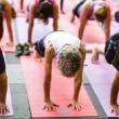 Workshops, June 15, 2022, 06/15/2022, Yoga in the Park (in-person and online)