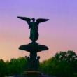 Park Walks, July 25, 2019, 07/25/2019, East Side Evening Stroll