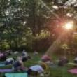 Workshops, July 31, 2019, 07/31/2019, Sunset Yoga