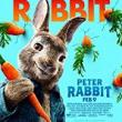 Movie in a Parks, July 25, 2019, 07/25/2019, Peter Rabbit (2018): Animated Adaptation of the Children's Classic (Outdoors)