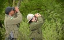 Birdwatchings, April 20, 2019, 04/20/2019, Spring Bird Walk
