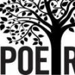 Poetry Readings, May 02, 2019, 05/02/2019, New Media Poetry