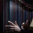 Concerts, March 17, 2023, 03/17/2023, Works by Bach, Saint-Saens and More for Harp (In Person AND Online)
