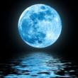 Festivals, January 25, 2023, 01/25/2023, Lunar New Year Celebration&nbsp;