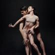 Dance Performances, November 18, 2022, 11/18/2022, A Celebration of 90 Years of Dance