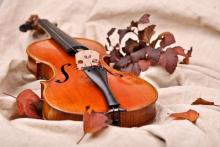 Concerts, January 15, 2019, 01/15/2019, Chamber music by Schumann and more