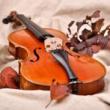 Concerts, April 04, 2023, 04/04/2023, Works by Beethoven, Mozart, and More for Violin (In Person AND Online)