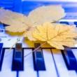Concerts, March 04, 2025, 03/04/2025, New Works for Organ and Ensemble (in-person and online)