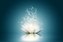 Workshops, July 23, 2021, 07/23/2021, Pilates Workshop