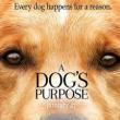 Films, March 22, 2019, 03/22/2019, A Dog's Purpose (2017): The Journey Of A Dog