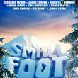 Films, March 15, 2019, 03/15/2019, Smallfoot (2018):&nbsp;Animation Brings Together Yetis And Humanbeings