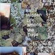 Poetry Readings, March 08, 2019, 03/08/2019, Extra Hidden Life, Among the Days: Award-Winning Poetry