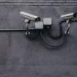 Lectures, March 07, 2019, 03/07/2019, The Organization and Evolution of the Surveillance State in China