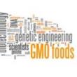 Discussions, March 12, 2019, 03/12/2019, GMOs: Science, Ethics, Risks, Regulations and Food Security