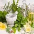 Workshops, March 18, 2019, 03/18/2019, Green Medicine: An Intro Class