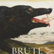 Poetry Readings, April 15, 2019, 04/15/2019, Brute: Fiery, Hypnotic Poems