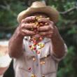 Slide Lectures, April 18, 2019, 04/18/2019, Photographer Talk:&nbsp;The Essence of Cuba