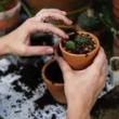 Workshops, March 14, 2019, 03/14/2019, Getting Ready For Gardening Season