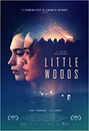 Films, April 06, 2019, 04/06/2019, Little Woods (2018): A Modern Western