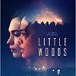 Films, April 06, 2019, 04/06/2019, Little Woods (2018): A Modern Western