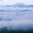 Poetry Readings, April 04, 2019, 04/04/2019, Memory Vessels: 4 Poets