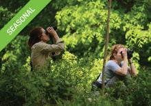 Tours, April 29, 2019, 04/29/2019, Birding Basics: The Ramble