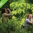 Tours, April 29, 2019, 04/29/2019, Birding Basics: The Ramble