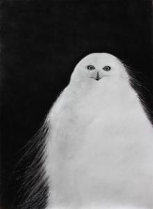 Gallery Talks, April 24, 2019, 04/24/2019, Exhibition Tour: Nature in Black and White