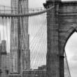 Author Readings, April 11, 2019, 04/11/2019, In the Shadow of Genius: The Brooklyn Bridge and its Creators