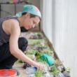 Workshops, April 15, 2019, 04/15/2019, Going to the Root: Moving and Being Present to Decolonize