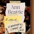 Author Readings, April 23, 2019, 04/23/2019, A Wonderful Stroke of Luck: In Search of an Anchor
