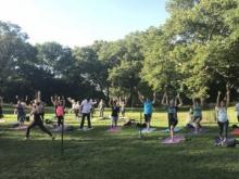 Workshops, May 30, 2019, 05/30/2019, Yoga Flow