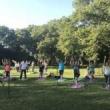 Workshops, July 25, 2019, 07/25/2019, Yoga Flow