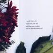 Poetry Readings, April 25, 2019, 04/25/2019, Young Poet Shares Her Poems