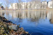 Tours, April 27, 2019, 04/27/2019, City Nature Challenge Tour