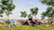 Workshops, July 09, 2019, 07/09/2019, Yoga in the Park