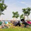 Workshops, July 02, 2019, 07/02/2019, Yoga in the Park