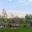 Workshops, July 25, 2019, 07/25/2019, Yoga in the Park