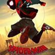 Movie in a Parks, July 12, 2019, 07/12/2019, Spider-Man: Into the Spider-Verse (2018): Oscar-Winning Animated Superheroics (Outdoors)