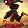 Movie in a Parks, July 12, 2019, 07/12/2019, Spider-Man: Into the Spider-Verse (2018): Oscar-Winning Animated Superheroics (Outdoors)