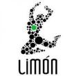 Dance Lessons, May 17, 2019, 05/17/2019, Harlem Moves with Lim&oacute;n Dance Company