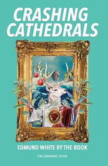 Author Readings, May 02, 2019, 05/02/2019, Crashing Cathedrals: Edmund White by the Book