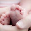 Conferences, May 04, 2019, 05/04/2019, The Ethics of Donor Conception