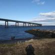 Tours, June 01, 2019, 06/01/2019, Bronx Shoreline Walk