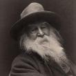 Musicals, June 01, 2019, 06/01/2019, More Or Less I Am: A Musical Theatre Piece Inspired by Walt Whitman