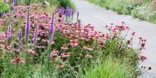 Tours, July 11, 2019, 07/11/2019, Summer Garden Tour