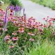Tours, July 11, 2019, 07/11/2019, Summer Garden Tour