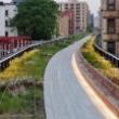 Park Walks, July 17, 2019, 07/17/2019, Design Tour: Elevated Design